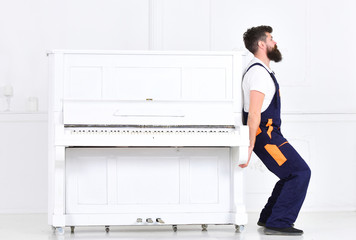 What You Should Know About Piano Movers